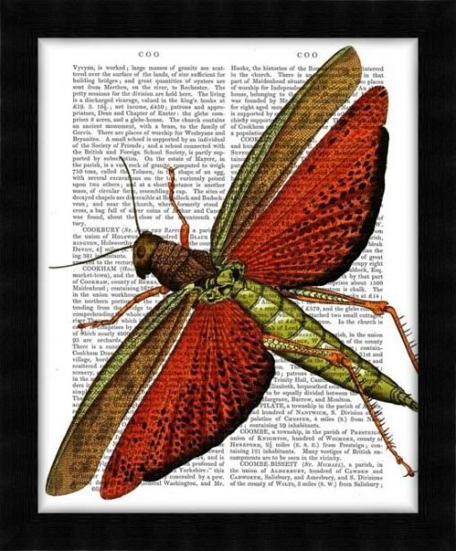 190132D-Vintage-Grasshopper2