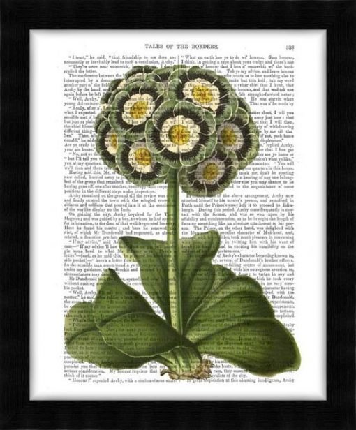 190301D-Primula-Auricula-Blue2