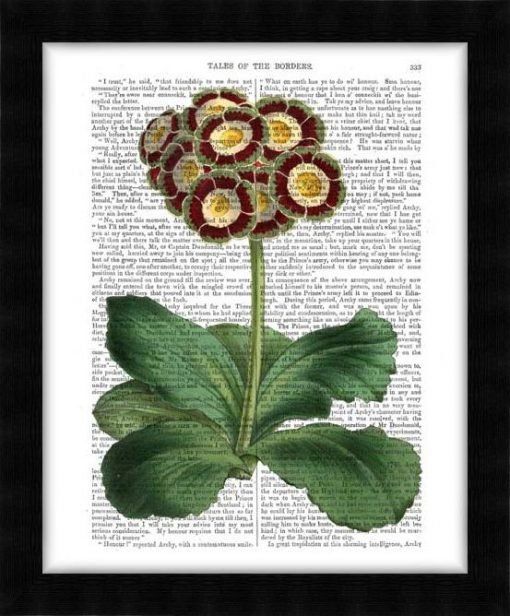 190302D-Primula-Auricula-Red2