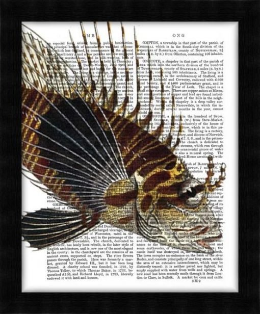 190404D-Vintage-Spiky-Fish2