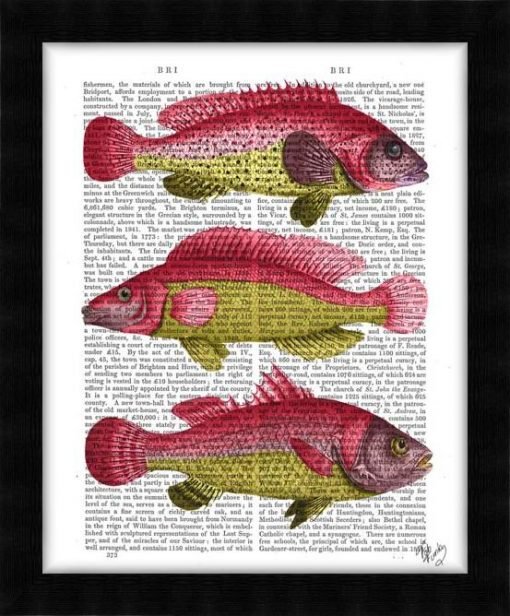 190416D-Red-and-Yellow-Fantasy-Fish-Trio2