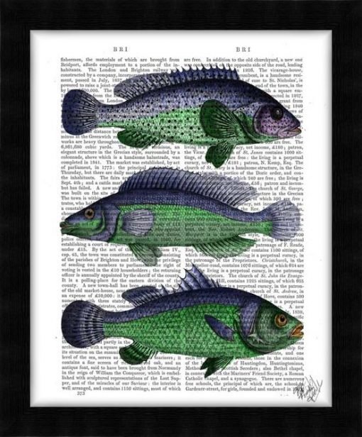 190417D-Blue-and-Green-Fish-Trio2