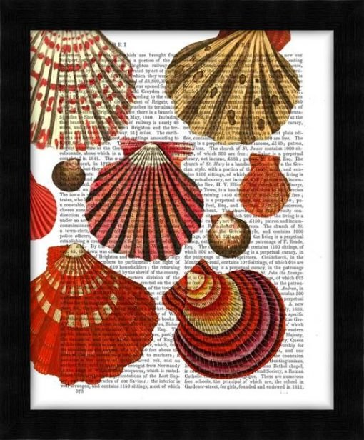 190419D-Red-Clam-Shells2