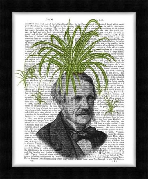 190437D-Spider-Plant-Head2