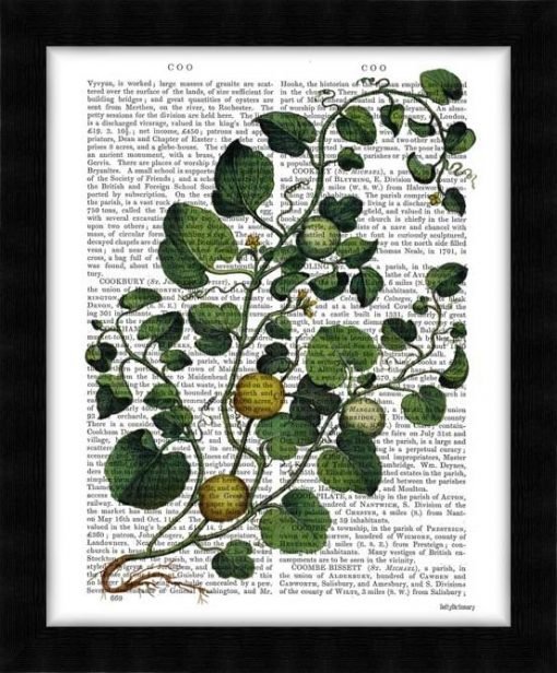 190509D-Squash-Vine-42